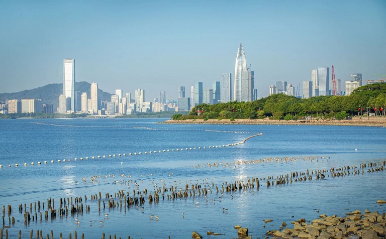 深规院牵头市科技计划项目“库—河—湾生物栖息地修复和生态韧性构建技术研发”顺利通过验收